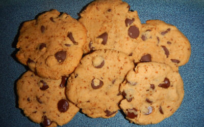 Wendy’s Chocolate Chip Cookies